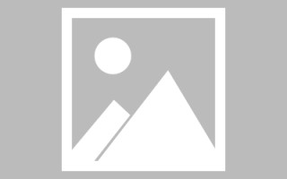 安陆新区景区网站建设（in art criticism,you must assume）